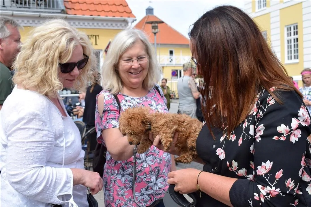 G22.1 skagen north jutland sat 22 jul (5)